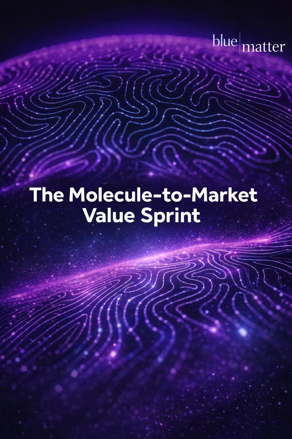 The Molecule-to-Market Value Sprint